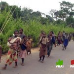 Nord-Kivu: Oicha; faux, les Pygmées ne sont pas voleurs des produits champêtres